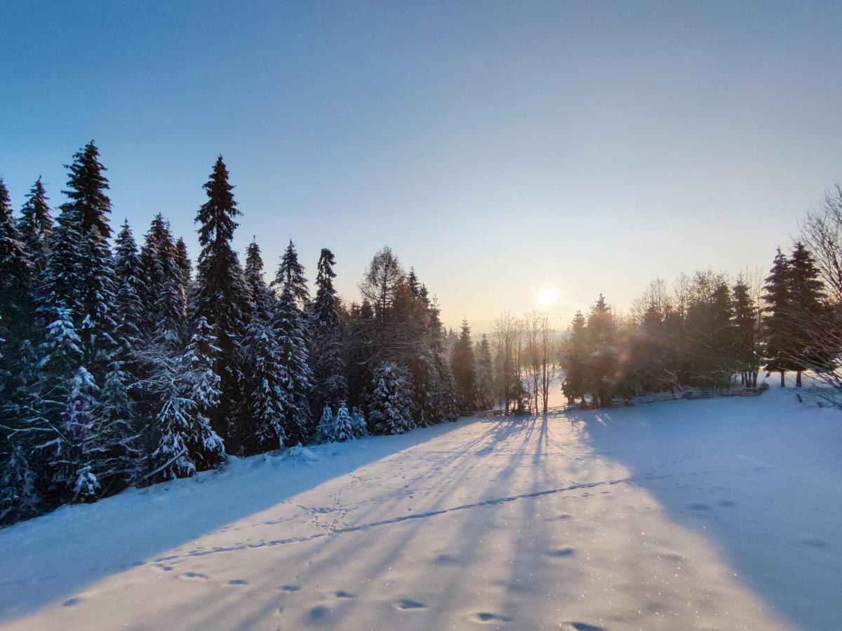 Chalet Przystanek Gorce Nowy Targ