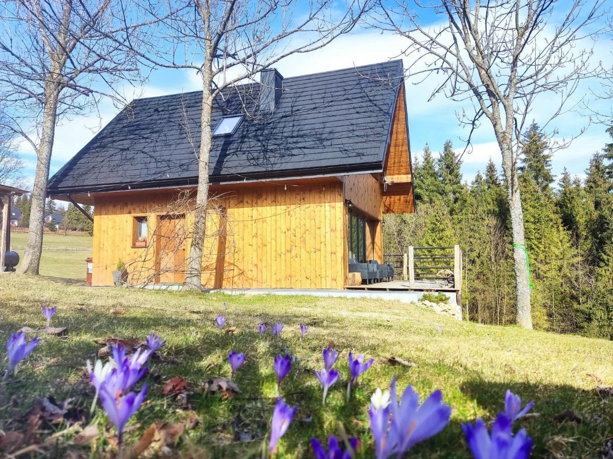Przystanek Gorce * Nowy Targ